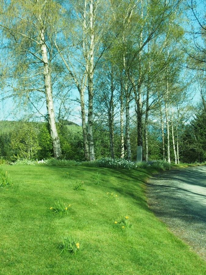 The Garden Room At Te Anau Country Accommodation 외부 사진